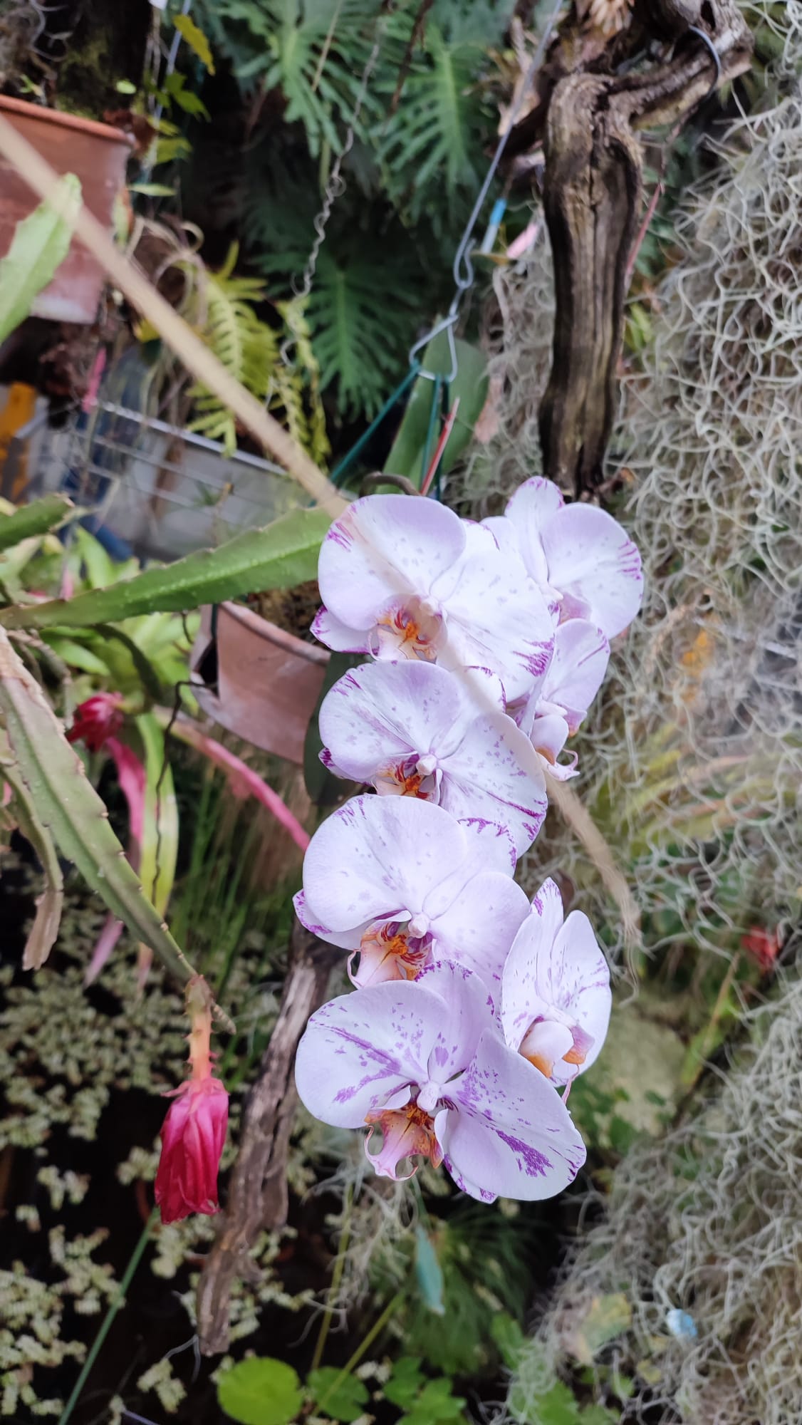 IMG-20230430-WA0118